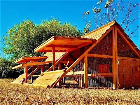 LARGE CHICKEN COOP FOR 20+ HENS