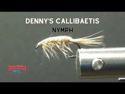 FLY TYING: DENNY'S CALLIBAETIS NYMPH