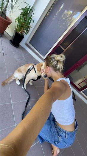 EzyDog Chest Plate Harness - Ideal Puppy Starter Product