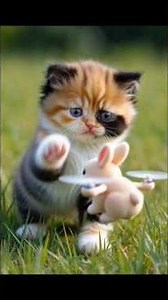 "cute kitten vs Bunny Drone! Epic Ball playtime 🐰🐰 "Kitten + Rabbit Drone + Bouncing Ball