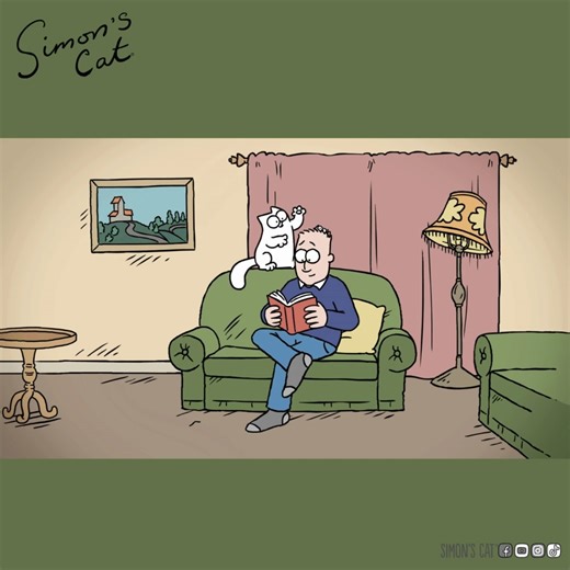 Who's afraid of spiders?! 👋🕷️ | Simon's Cat