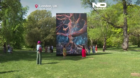 Kew Gardens’ historic oak reimagined as digital artwork