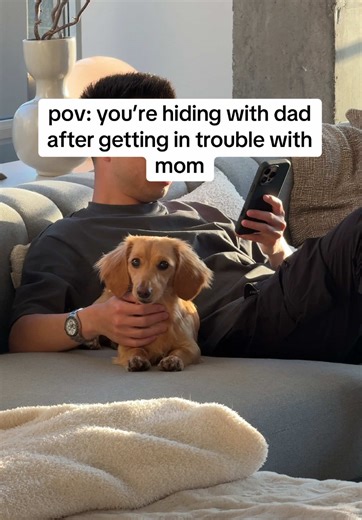 Mini Dachshund's Guilt After Getting in Trouble