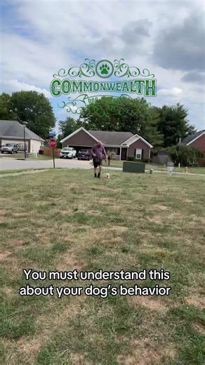 Dogs do not label their behavior as “good” or “bad.” Behavior to the dog is neutral. It is simply a response to genetics, learning history, environment and current emotional state. The labels of wanted or unwanted are human constructs that reflect how a behavior fits or conflicts with our expectations and lifestyle. Because behavior is a complex process, changing it is rarely about stopping a single action. It requires understanding why the behavior is occurring, what is reinforcing it and what 