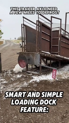 Smart loading dock for livestock semi truck loading & unloading. #truckdriver #trucking #trailer | Alan Trucker