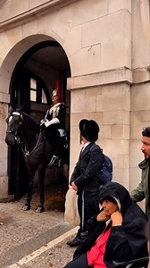 10K views · 650 reactions | Outside the white line please #maritesjames #enjoy #travel #london #horse #history #highlights | Marites James | Facebook