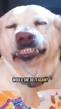 You Got Caught But You’re Still Adorable!