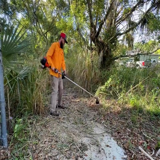 4.4K views · 167 reactions | Sidewalks are being taken care of! ✨ #satisfying #asmr | Free Lawn Care | Facebook
