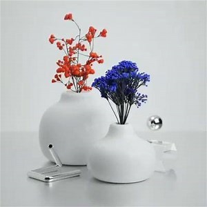 2K views · 62 reactions | Bloom. | David McLeod | Facebook