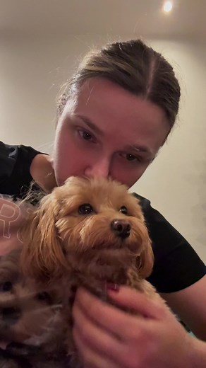 Sylwester 2025/2026 - Strach psa i fajerwerki