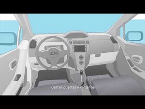 Limpiador aire acondicionado coche - AIRNET & AIRPUR auto