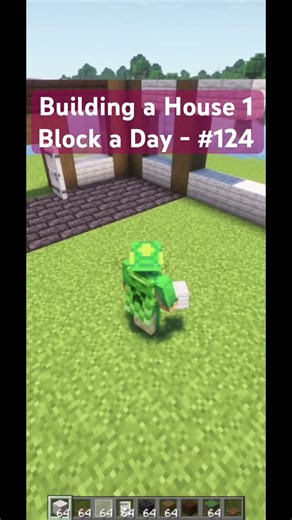 Building a House 1 Block a Day - #124