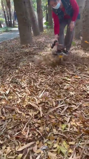 Compact but Powerful – Cafovidia Air Dusert vs Heavy Yard Leaves#handblower#airblower#shorts#usa
