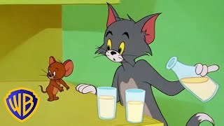 Tom Jerry Tom Jerry In Full Screen Classic Cartoon Compilation Wb Kids Wb Kids Mp3 & Mp4 Download - clip.africa.com