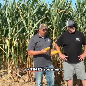 High vs. Low Management Corn. Johnny and Temple talk best practices and keys to reducing tip-back in higher pops. Watch the full 6 min here: https://www.xtremeag.farm/corn-management | XtremeAg.farm