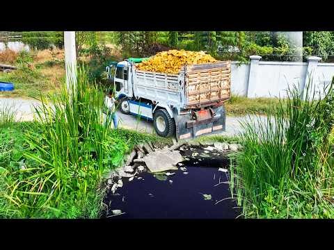 First Start Opening Amazing Project!! Landfill Delete Flooded Area Using Skills Dozer Pushing Soil