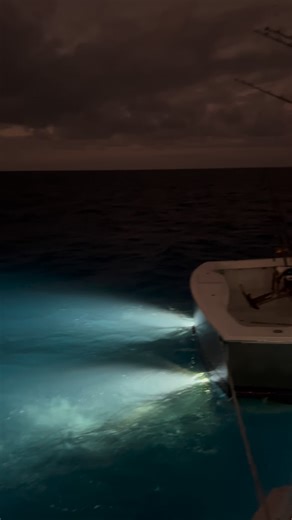 Great Barrier Reef Leg 3 - Bad Company world tour 2022. | Bad Company Fishing Adventures