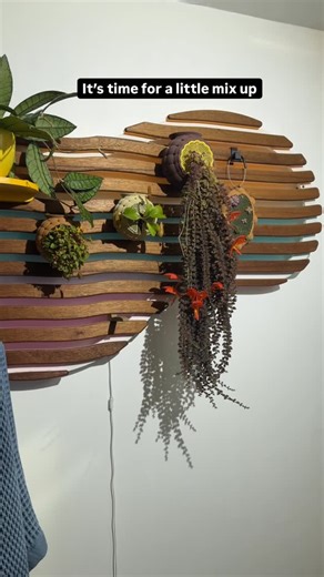 Tyler Cichonski on Instagram: "It’s been so long since I’ve done an update on my bathroom wall. To be honest, it’s because the plants weren’t looking great until I changed them over to the orbs. Now they’re settling in and starting to take off. The orbs have a little reservoir in the bottom to help keep the plants hydrated and easy to water. Im surprised at the difference it’s making. This wall piece was a one off project I did a couple years ago. There are many hours that went into it. As much 