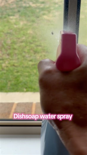 Use dishsoap water spray as a cheap, effective, non-toxic insecticide. #insecticide #nontoxic #fly #pestcontrol #flykiller #home #diy #hacks #fyp #dishsoap | Stu R Geon | Facebook