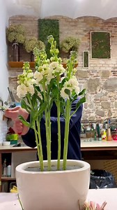 🌼 Dive into the enchanting world of floral artistry with Master Florist By Musho 🌸 Join us as we witness the creation of a stunning arrangement featuring exquisite white flowers. Can you guess all the flowers used? Share your guesses in the comments below! 🌿✨ #FloralArtistry #MasterFlorist #BymushoCreations #florist #flowers 🌟🌿 | Master Florist