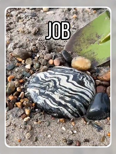 Can This Rock Let Me Retire Early? Identifying Amethyst and Valuable Fossils