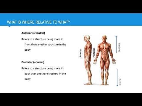 motion 1 relative orientation