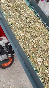 Silage Packing Machine.The fasting speed on packing can be up to 3 seconds for finishing one bag！ Dawn Agro Machinery 四川省旭东机械制造有限公司（Sichuan XuDong Machinery Manufacture Co., Ltd.) No.106 Xiwang Avenue, Xiajiaqiao Street, Yancheng Town, Jingyan County, Leshan City, Sichuan Province, China 中国四川省乐山市井研县研城镇夏家桥街希望大道106号 Whatsapp&Wechat: 86 19181360623 Alibaba: https://xudongagro.en.alibaba.com TikTok：https://www.tiktok.com/@dawnagromachinery Facebook: https://www.facebook.com/DawnAgroMachinery Youtube