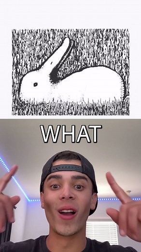 Do you see a Rabbit or Duck?! #rabbit #duck #interactive