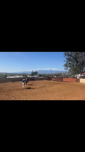 HOLA AMIGOS DE PIALES EL AMIGO Cuadra Daniel Barajas ESTA RIFANDO ESTE MACHO 70 números de $100 dólares MUY BUEN MACHO PARA EL PIAL AQUI ESTA UNOS VIDEOS PARA Q MIREN Q ES BUENO PARA LOS PIALES Y CABRESTRA CUAL QUIER PREGUNTA O GUSTAN COMPRA UN BOLETO O CUALQUIER PREJUNTA ...CON DANI BARAJAS Numero de Zelle Daniel Barajas 626-636-8032 | Mari Murillo