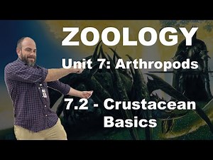 Zoology - 7.2 - Crustacean Basics