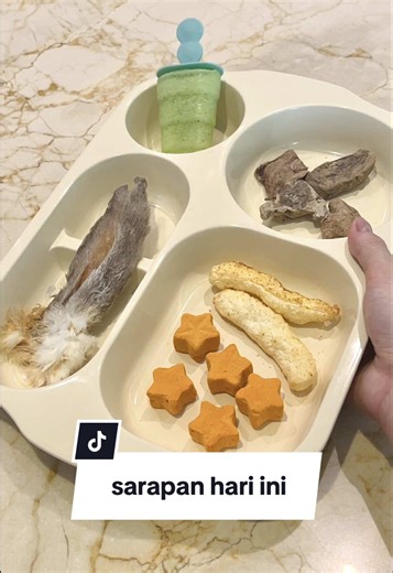 Sarapan Anjingku: Resep Makanan Sehat untuk Anjing