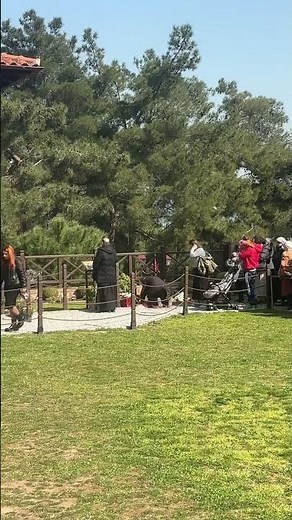 PRIESTS AND FAITHFUL BOW AT THE TOMB OF SAINT PAISIOS