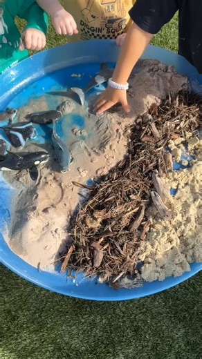 Every hands-on activity strengthens fine motor skills, enriches language development through meaningful conversation, and nurtures independent thinking as children explore, question, and create with confidence. #narrewarrensouth #littleroseselc #earlylearning #childcare #playbasedlearning | Little Roses Early Learning and Kindergarten