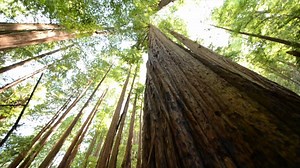 587K views · 5.9K reactions | This decade’s most important climate...