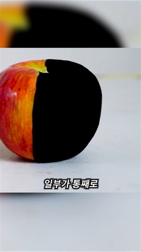 세상에서 가장 어두운 색