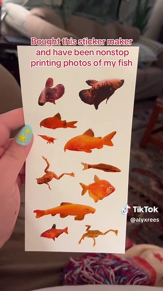 How to Create Stunning Fish Stickers at Home