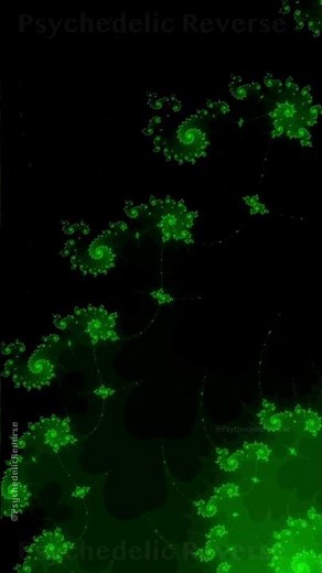 #trippy #trippyart #fractal #mandelbrot 4K Mandelbrot Fractal Deep Zoom #animation