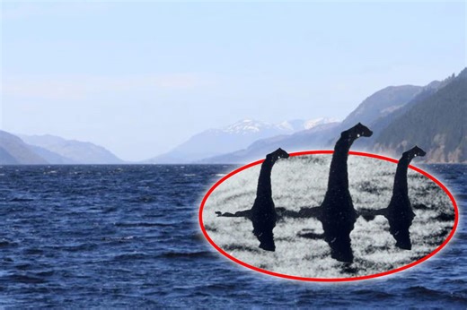 Are there multiple Loch Ness monsters? Researcher shares wild new theory