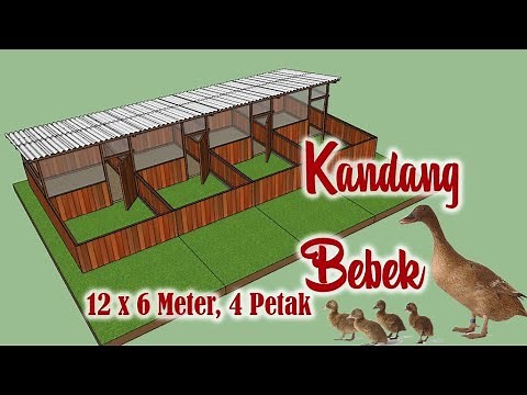 Desain Kandang Bebek