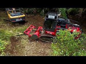 Prinoth/AHWI RT400: Mulcher and excavator.