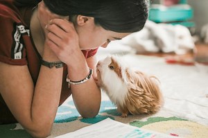 How to Know When Your Guinea Pig Is Seriously Ill or Dying | LoveToKnow Pets