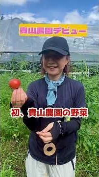 トマトができてきました #有機農業 #農業 #無農薬 #トマト #トマトの育て方 #貴山農園