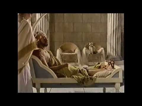 Wishbone: The Entrepawneur Part 1