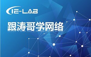 【IELAB】快速了解Port-channel的原理