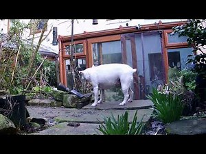 Vanbar D500 Camera Test