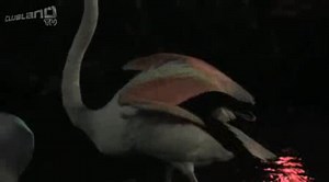 FRANKIE GOES TO HOLLYWOOD ~ RELAX ~ 2009 LOCKOUT REMIX