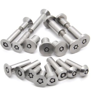 [Hot Item] Custom Stainless Steel Binding Barrel Post Female and Male Chicago Sex Bolt