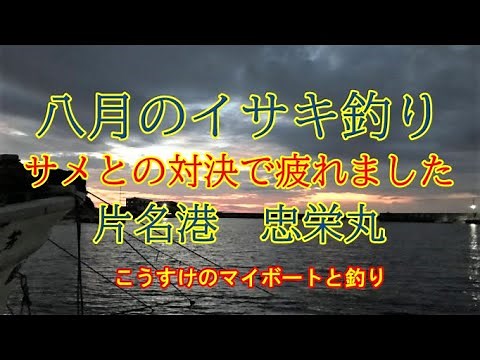 八月になっても好調なイサキ釣りに行ってきました 忠栄丸
