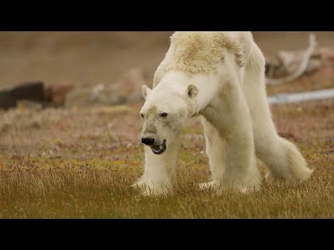 Climate change in the era of fake news