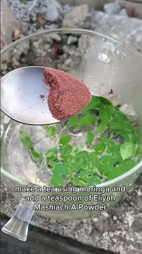 How to make the best moringa tea